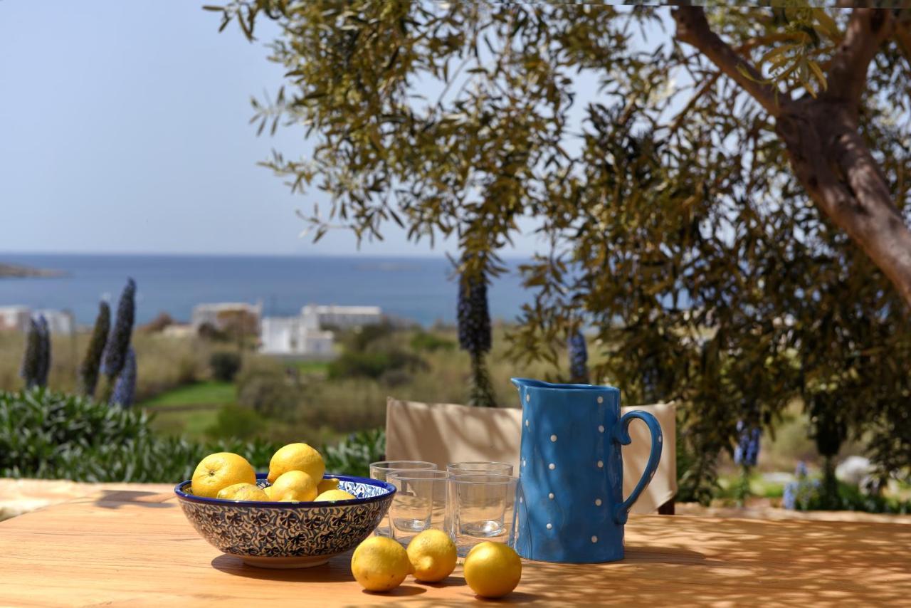 Good Life Greece Eco Villas Posidhonía Eksteriør bilde