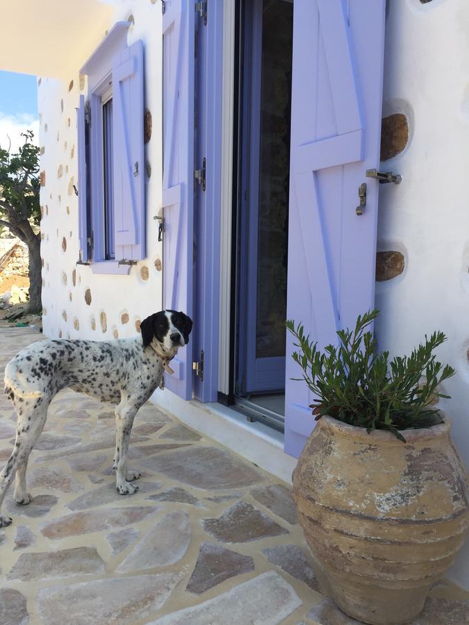 Good Life Greece Eco Villas Posidhonía Eksteriør bilde